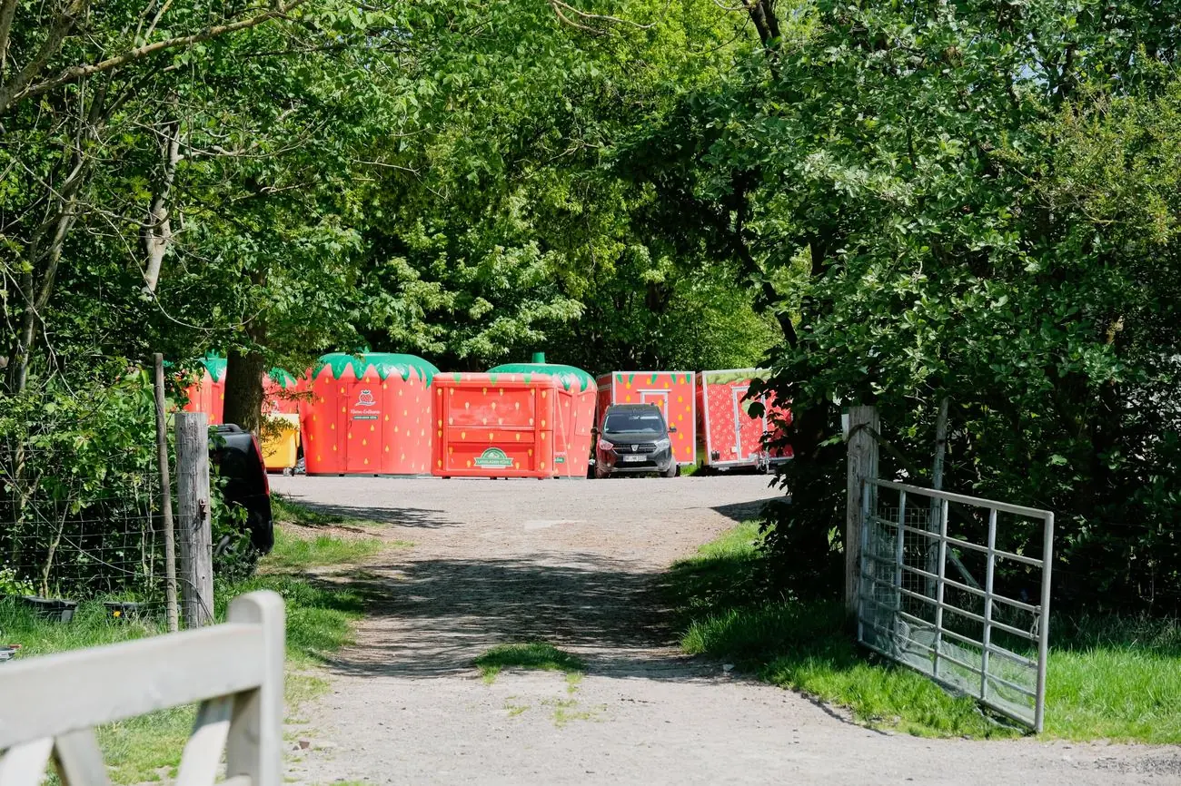 Unsere roten Erdbeer-Verkaufsstände in Erdbeerform